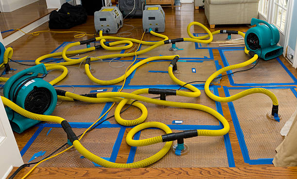 Professional Basement Flood Cleanup technician working in Saltillo, TN